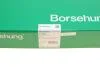 Натяжна планка ланцюга ГРМ Borsehung B1G035 (фото 6)