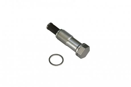 Натягувач ланцюга (OE) Borsehung B1T020