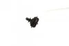 Лямбда-зонд RENAULT Clio / Duster / Fluence / Kangoo / Logan / Megane BOSCH 0258006990 (фото 4)