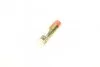 Розпилювач дизельної форсунки DLLA 150 P 1224 BOSCH 0433171774 (фото 1)