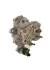 Топливный насос common rail BOSCH 0445010075 (фото 4)