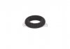Резиновое кольцо BOSCH 1 280 210 843 (фото 1)