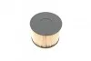 Паливний фільтр 1723 PEUGEOT / CITROEN / VOLVO C30, C70, S40, V50, C4, C5, Jumpy, 307,308,407,607, Expert 03- BOSCH 1457431723 (фото 2)
