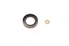Елемент насосу Common Rail 1460C85001
