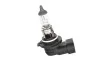 Автолампа Pure Light H10 PY20d 42 W BOSCH 1987302083 (фото 2)
