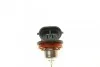 Автолампа Bosch ECO H8 PGJ19-1 35 W BOSCH 1987302805 (фото 2)