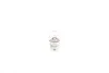 Лампа R10W 24V ECO - кратн. 10 шт BOSCH 1 987 302 869 (фото 2)