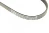 Ремень приводной поликлиновый 5PK895 BOSCH 1987945715 (фото 5)