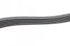 Ремень приводной поликлиновый 6PK1502 BOSCH 1987945727 (фото 4)