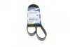 Ремень приводной поликлиновый 7PK1113 BOSCH 1987945740 (фото 1)