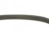 Ремень приводной поликлиновый 6PK1930 BOSCH 1987946005 (фото 3)