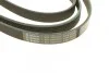 Ремень приводной поликлиновый 6PK2415 BOSCH 1987946016 (фото 3)