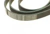 Ремень приводной поликлиновый 6PK2415 BOSCH 1987946016 (фото 4)
