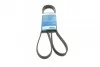 Ремень приводной поликлиновый 5PK1592 BOSCH 1987946022 (фото 1)