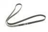 Ремень приводной поликлиновый 5PK1592 BOSCH 1987946022 (фото 2)