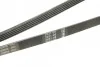 Ремень приводной поликлиновый 5PK1592 BOSCH 1987946022 (фото 4)