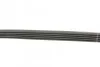 Ремень приводной поликлиновый 5PK813 BOSCH 1987946026 (фото 3)