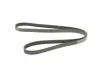 Ремень приводной поликлиновый 6PK1755 BOSCH 1987946030 (фото 2)