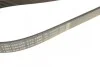Ремень приводной поликлиновый 6PK1890 BOSCH 1987946039 (фото 4)