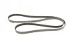 Доріжковий пас BOSCH 1987946042 (фото 2)