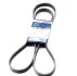 Ремень приводной поликлиновый 5PK1750 BOSCH 1987946045 (фото 1)