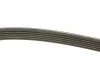 Ремень приводной поликлиновый 6PK1880 BOSCH 1987946064 (фото 2)