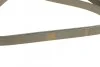 Ремень приводной поликлиновый 6PK1880 BOSCH 1987946064 (фото 3)