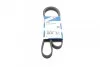 Ремень приводной поликлиновый 5PK1219 BOSCH 1987946084 (фото 1)