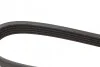 Ремень приводной поликлиновый 5PK1219 BOSCH 1987946084 (фото 3)