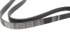 Ремень приводной поликлиновый 6PK1250 BOSCH 1987946087 (фото 2)