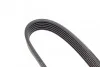 Ремень приводной поликлиновый 6PK1250 BOSCH 1987946087 (фото 3)
