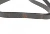 Ремень приводной поликлиновый 6PK1590 BOSCH 1987946096 (фото 2)