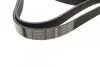 Ремень приводной поликлиновый 6PK1540 BOSCH 1987946099 (фото 2)