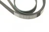 Ремень приводной поликлиновый 6PK2238 BOSCH 1987946104 (фото 4)
