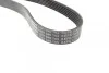 Ремень приводной поликлиновый 6EPK1029ELAST BOSCH 1987946143 (фото 2)