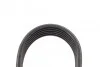 Ремень приводной поликлиновый 6PK1034ELAST FORD C-Max / Focus / Mondeo BOSCH 1987946147 (фото 4)