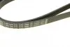 Ремень приводной поликлиновый 5PK1800 HYUNDAI / KIA Accent / Elantra / Getz / Rio 1,5-1,6 BOSCH 1987946279 (фото 5)