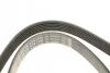 Ремень П-клиновой 6PK1245 FORD \'\' 2.0 tdci BOSCH 1987946280 (фото 4)