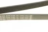 Ремень приводной поликлиновый 6PK2160 BMW / HYUNDAI M57 / ix35 2.0i BOSCH 1987946281 (фото 3)