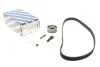 Комплект ГРМ Z = 135 + ролики AUDI / SEAT / VW 80 / Cordoba / Imiza / Toledo / Golf / Jetta / Multivan / Passat 1.9 89 -03 1987946325