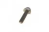 Комплект ГРМ Z = 135 + ролики AUDI / SEAT / VW 80 / Cordoba / Imiza / Toledo / Golf / Jetta / Multivan / Passat 1.9 89 -03 BOSCH 1987946325 (фото 10)