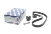РМК ГРМ Z=116 CITROEN/FIAT/FORD C4/C5/C8/Scudo/Focus/Kuga/Mondeo \&#039;\&#039;2.0 \&#039;\&#039;10&gt;&gt; BOSCH 1 987 946 699 (фото 2)