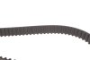 РМК ГРМ Z=160 AUDI/SKODA/VW A1-A6/Q3/Q5/Octavia/Rapid/Superb/Caddy/Crafter/Golf/Jetta/Passat \'\'09>> BOSCH ="1987946721" (фото 12)