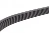 Ремень приводной поликлиновый 8PK1420 BOSCH 1987947050 (фото 4)