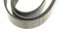 Ремень приводной поликлиновый 8PK1955 BOSCH 1987947062 (фото 4)