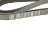 Ремень приводной поликлиновый 8PK1955 BOSCH 1987947062 (фото 5)