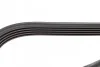 Ремень приводной поликлиновый 5PK1000 BOSCH 1987947814 (фото 4)