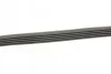 Ремень приводной поликлиновый 5PK725 BOSCH 1987947831 (фото 4)