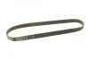 Ремень приводной поликлиновый 6PK923 BOSCH 1987947938 (фото 2)