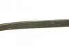 Ремень приводной поликлиновый 6PK923 BOSCH 1987947938 (фото 3)